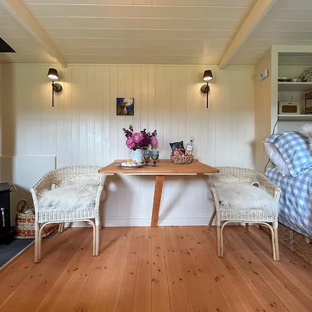 Tatil Evi Indigo Blue Sleights